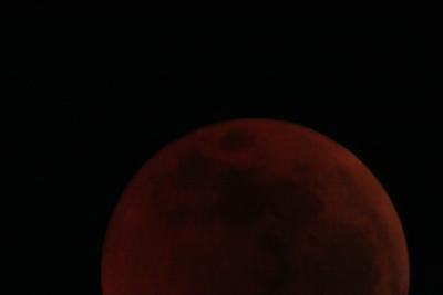 img_8282.jpg